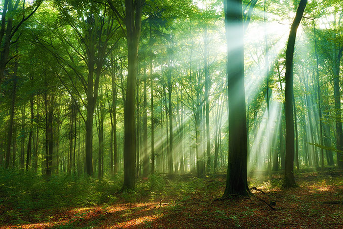 When Love Breaks Through